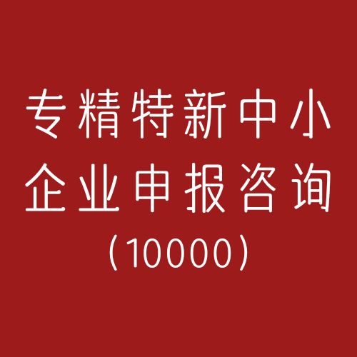 专精特新中小企业咨询(咨询服务)